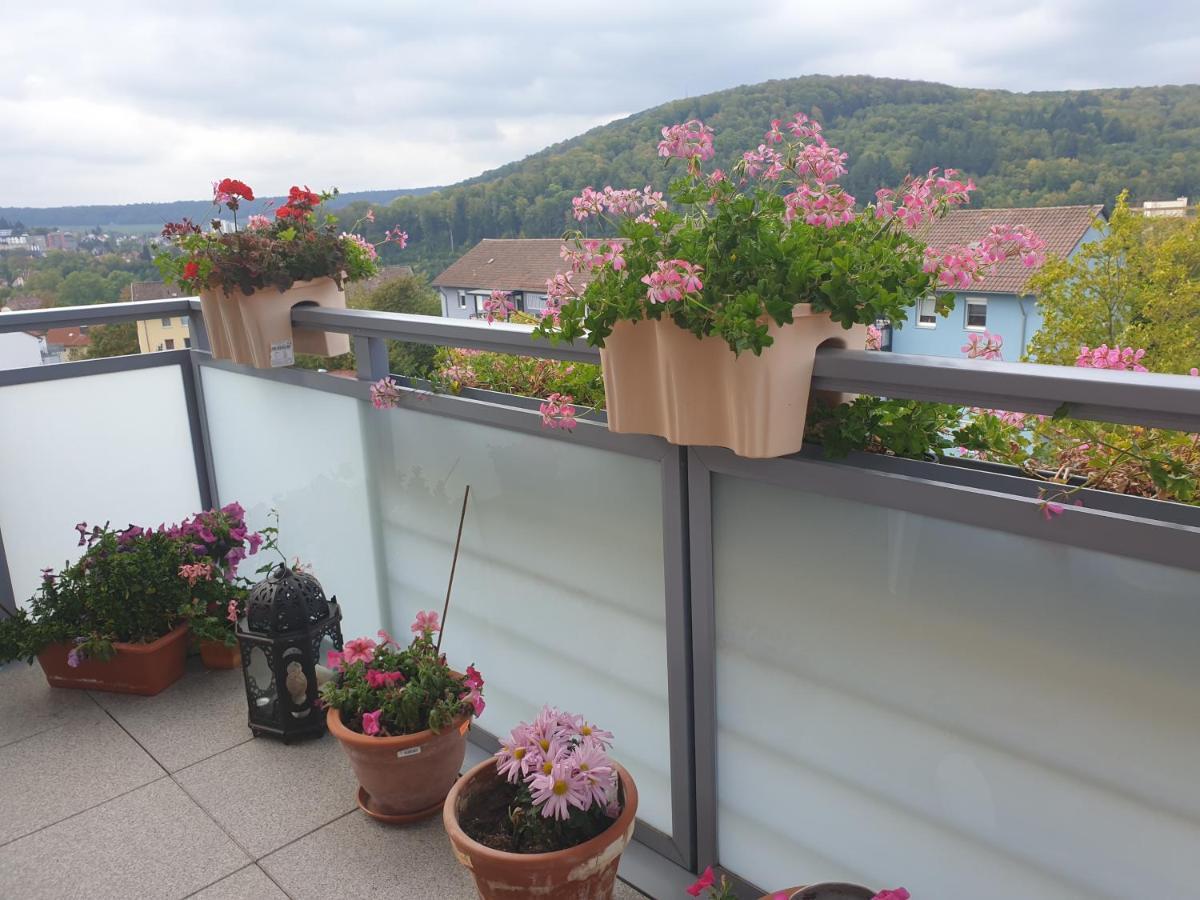 Ferienwohnung Berg View Bad Kissingen Apartment Mit 3 Schlafzimmern Εξωτερικό φωτογραφία